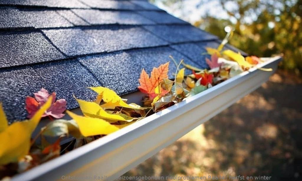 Seizoensgebonden rioolproblemen Raalte: herfst en winter